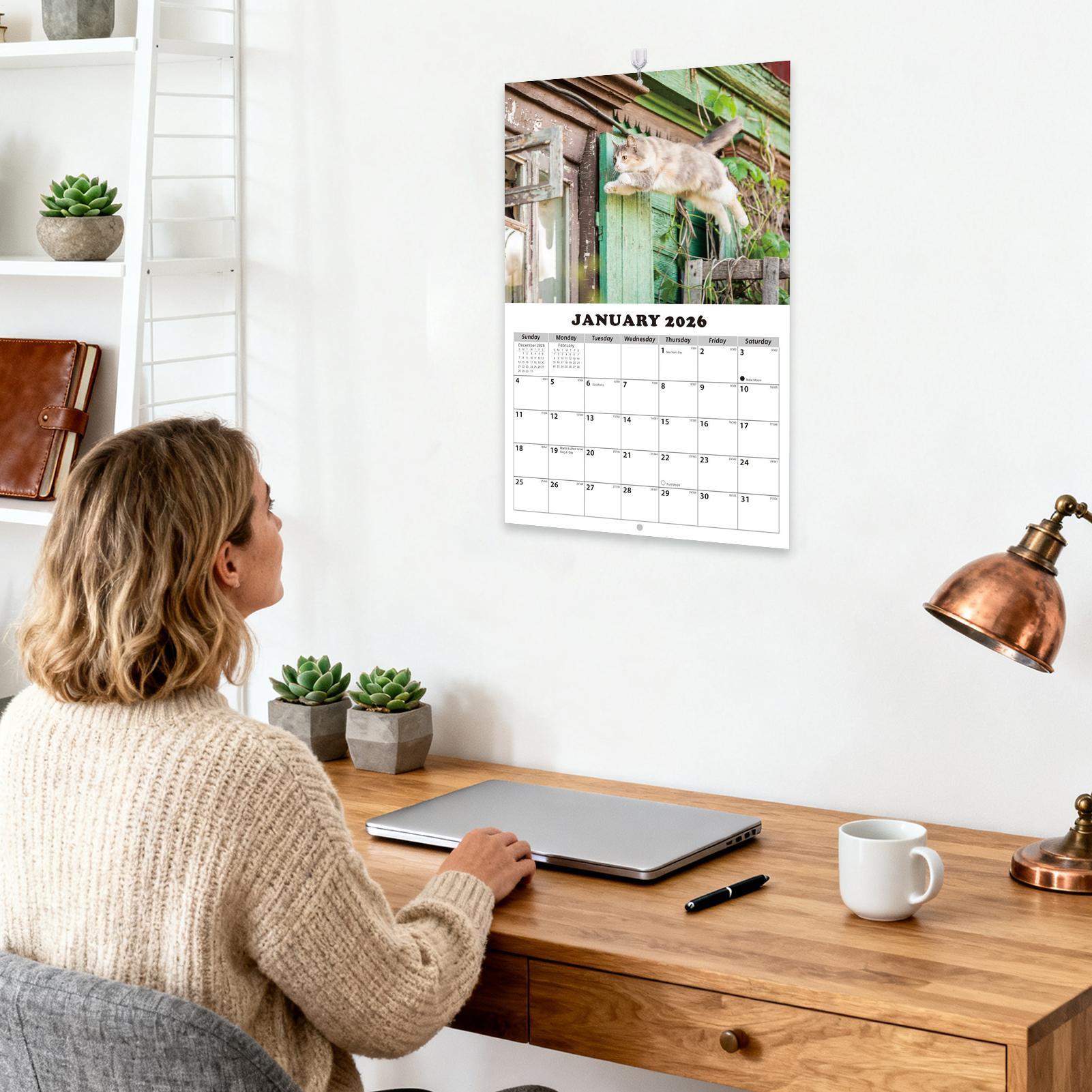 2026 gato inglês calendário de - English Home Office avaliação e preço