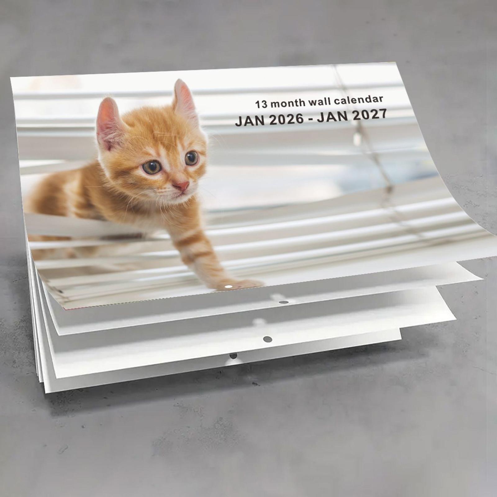 2026 gato inglês calendário de - English Home Office avaliação e preço