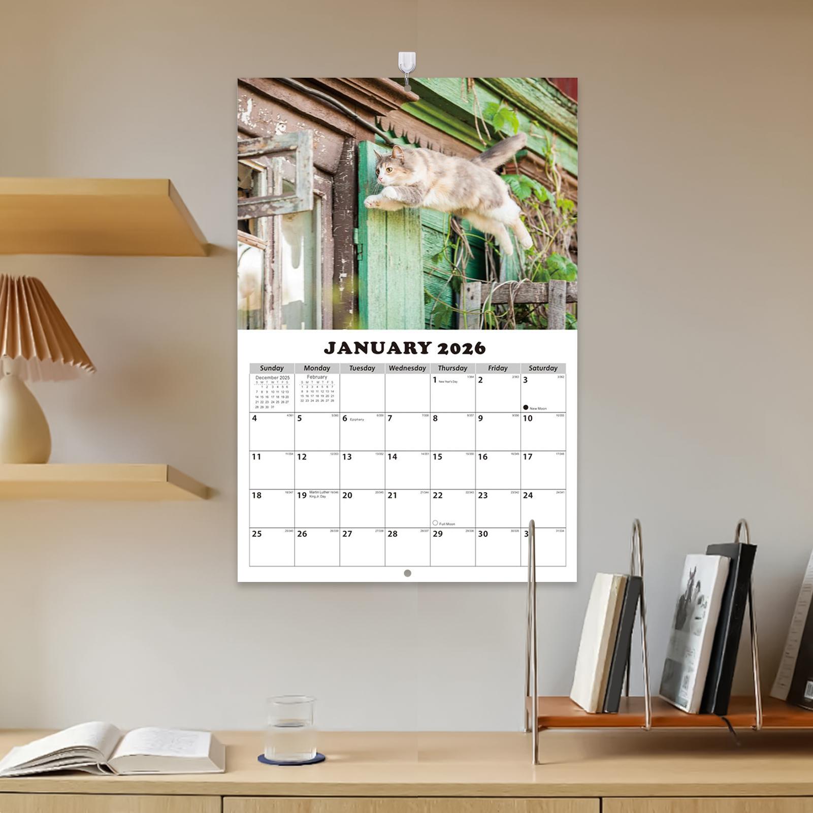 2026 gato inglês calendário de - English Home Office avaliação e preço